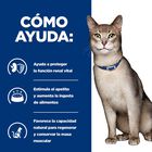 Hill’s Prescription k/d Diet Kidney Care Salmón sobre en salsa para gatos, , large image number null
